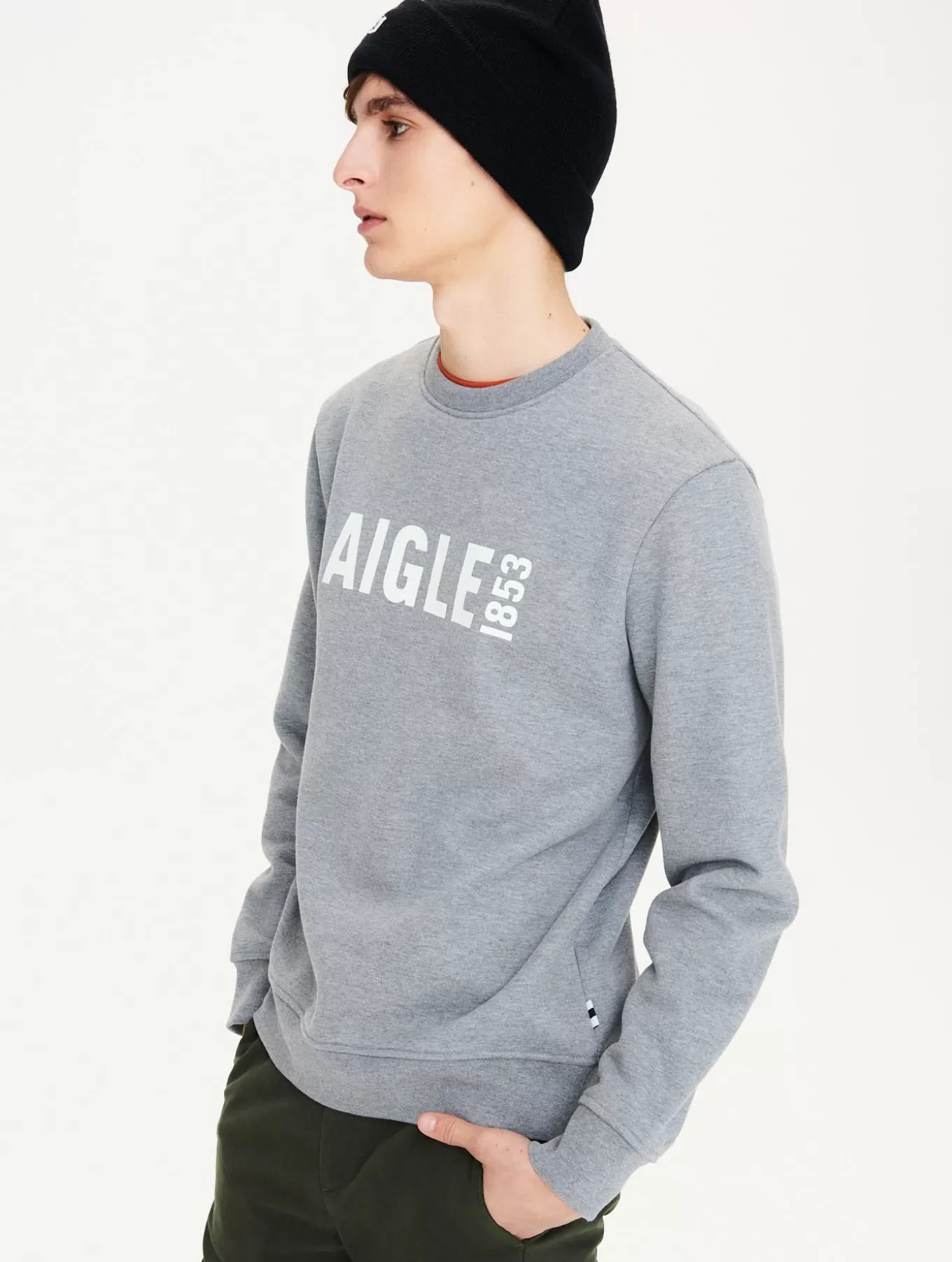 Pullover & Sweatshirts*Aigle Geburstetes Rundhals-Sweatshirt Mit Print Heather Grey