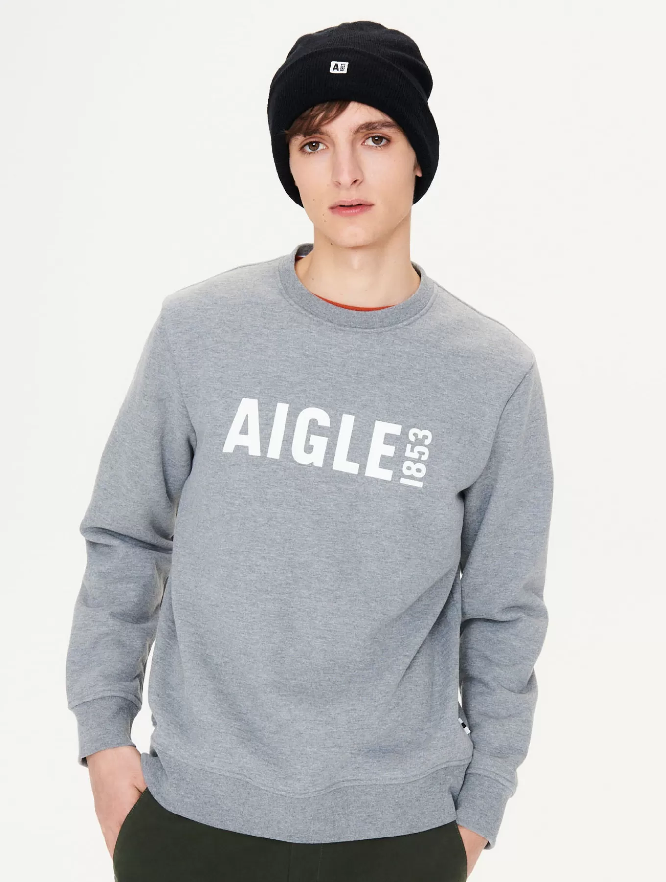 Pullover & Sweatshirts*Aigle Geburstetes Rundhals-Sweatshirt Mit Print Heather Grey